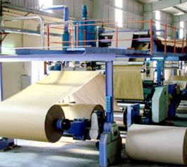 The type of paper & paper packaging industry